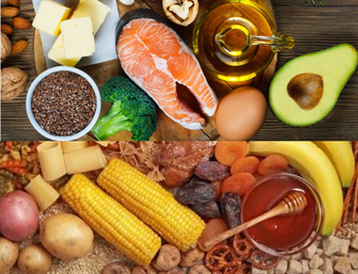 Glucides, lipides et valeur nutritive
