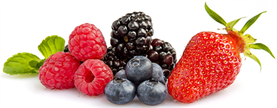 Petits fruits