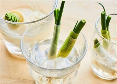 L&#233;gumes anti-gaspillage