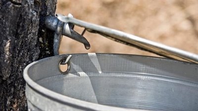 L&#39;eau d&#39;&#233;rable